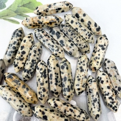 Dalmatian Jasper