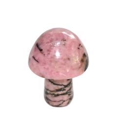 Black Rhodonite