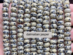 Dalmatian Jasper